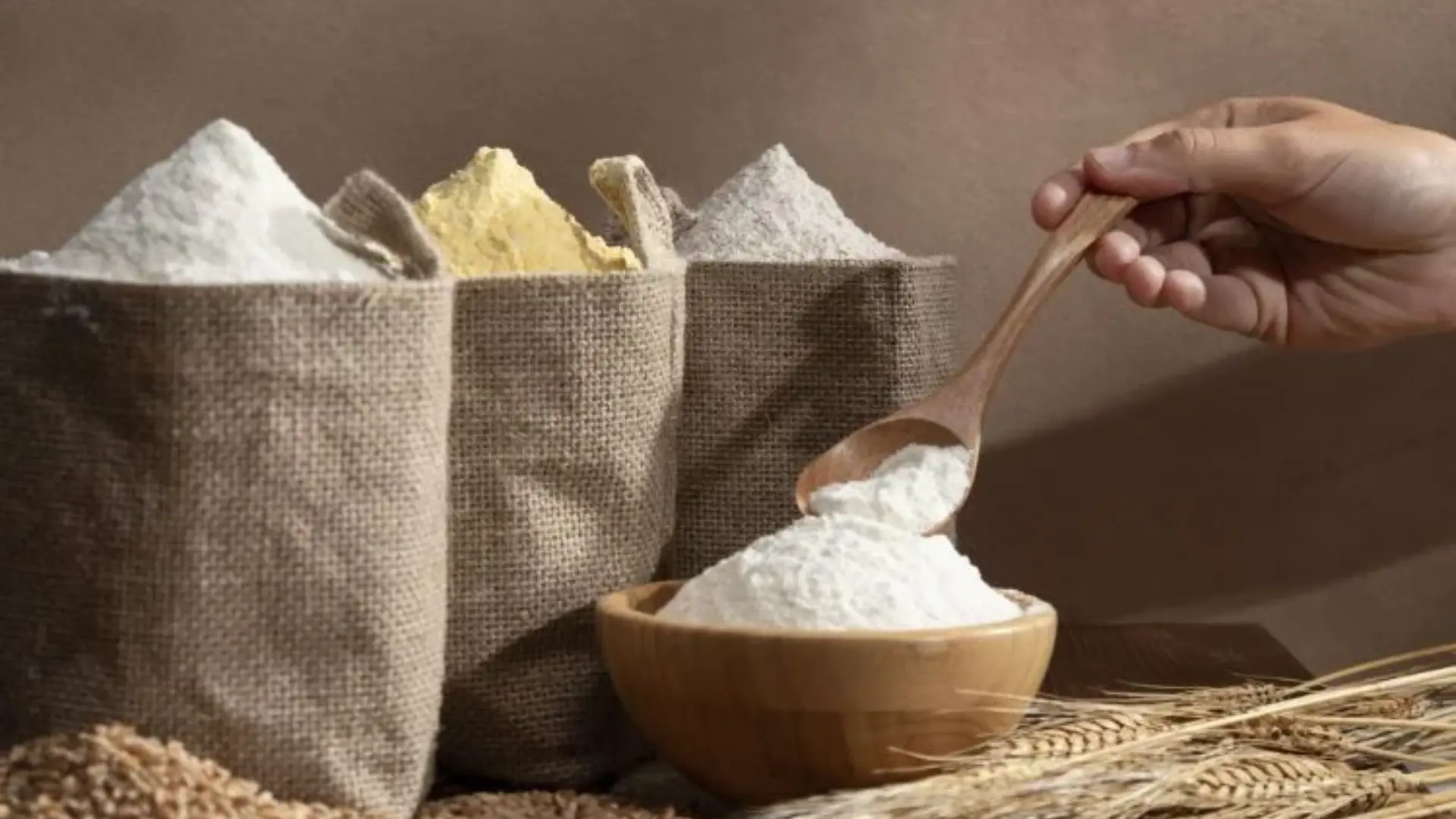 micronutrient premixes