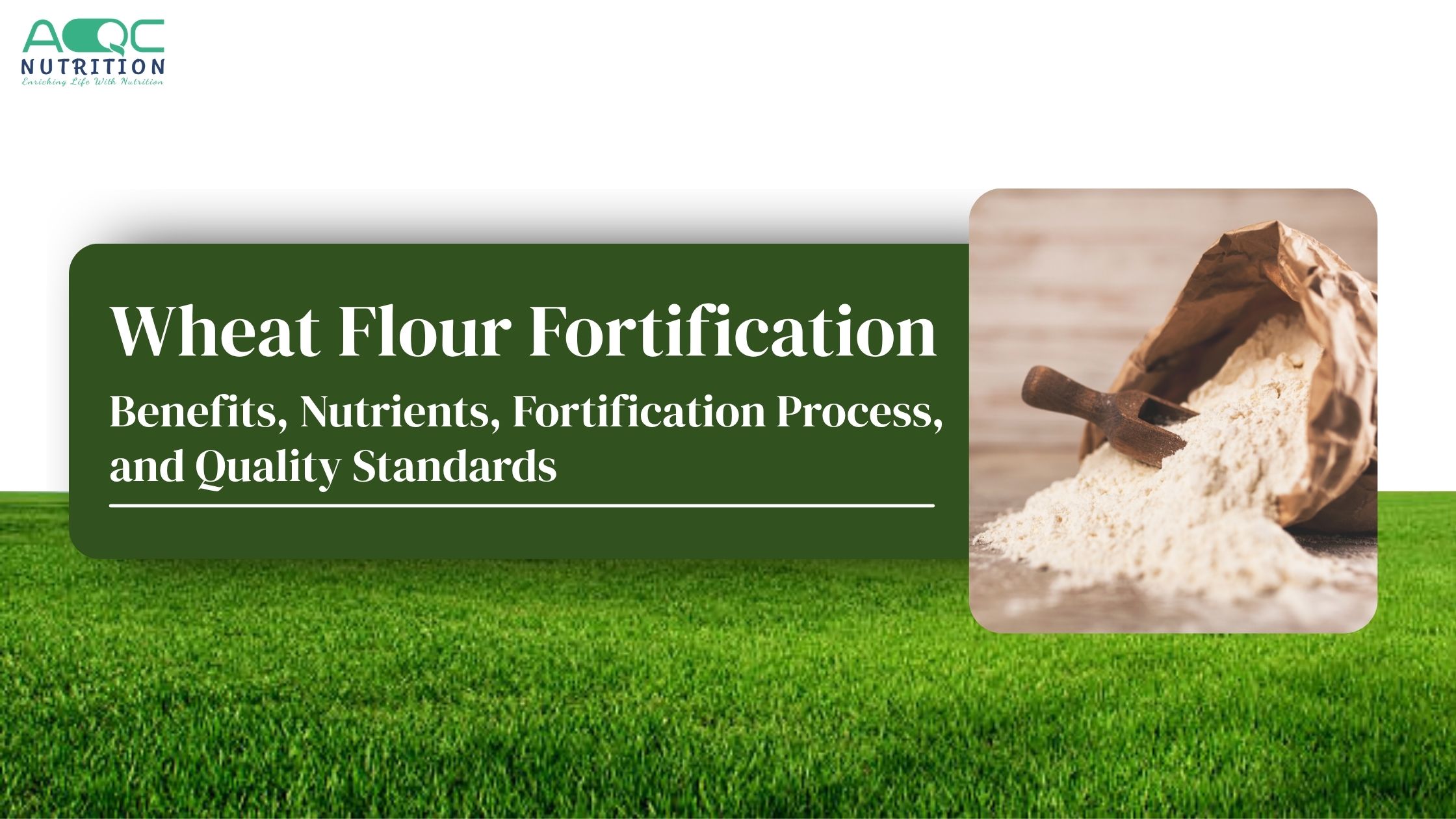 Wheat Flour Fortification
