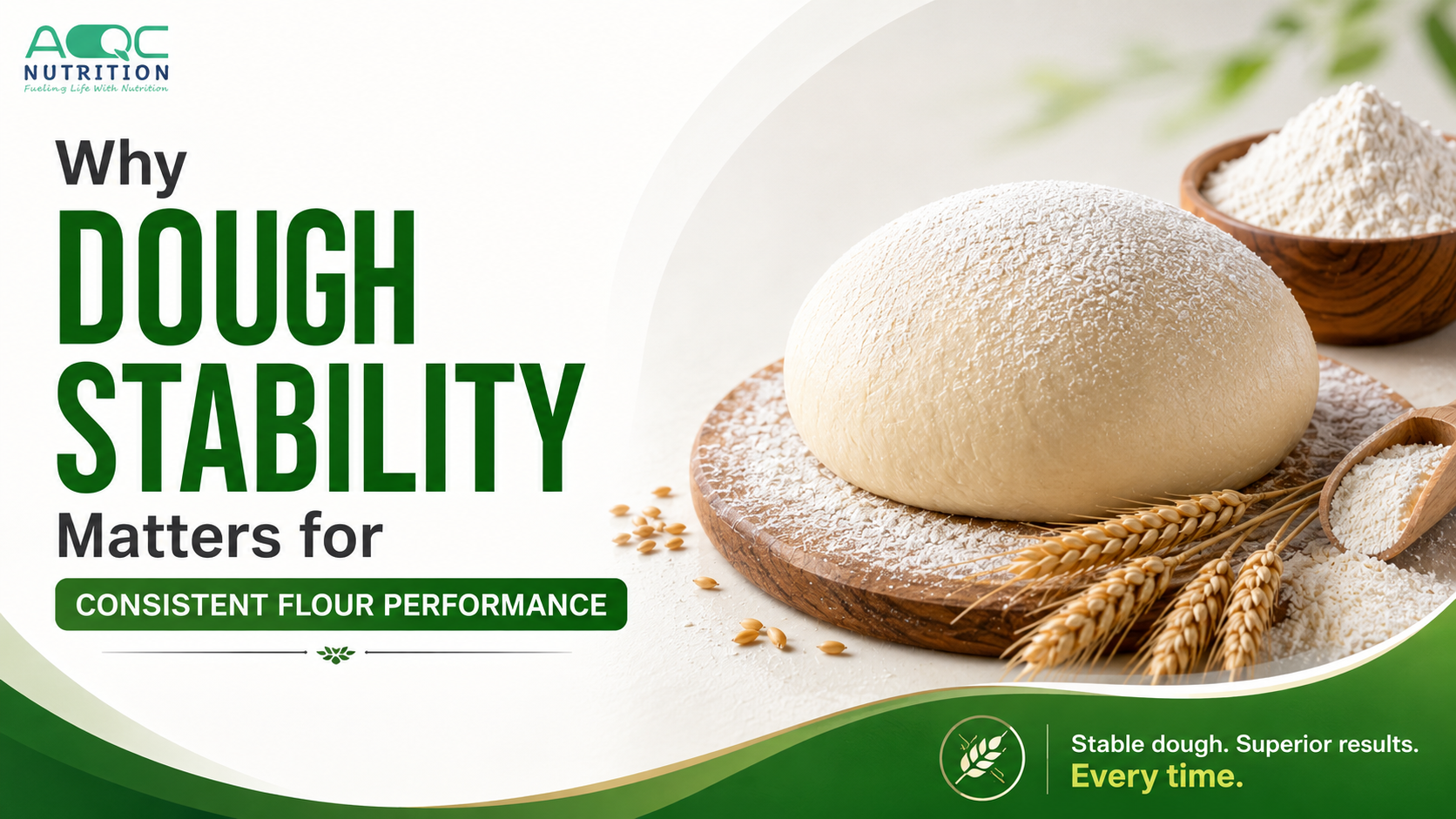 Why Dough Stability Matters for Consistent Flour Performance